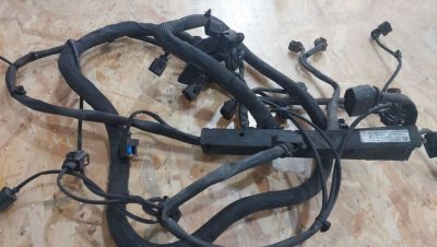 Проводка двигуна, мотора 2.5 TDI, BJK 9065400909 VAG Фольксваген Крафтер 2006+-1
